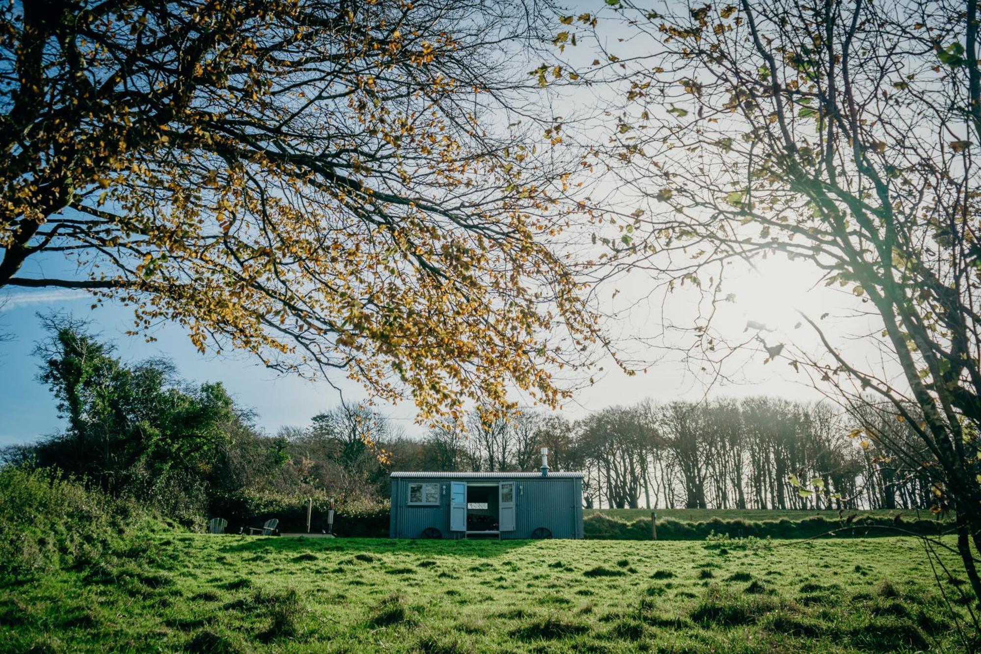 Blatchford Briar - Award Winning Private Shephards Huts With Their Own Secluded Hot Tubs Milton Abbot ภายนอก รูปภาพ